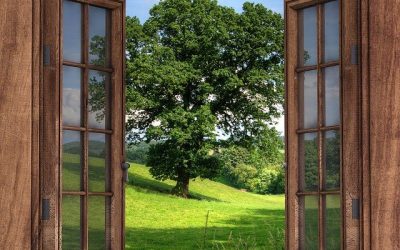 Touts les avantages d’une fenêtre en bois